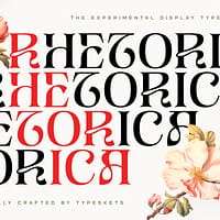 beauty entity (copy) beauty entity (copy)