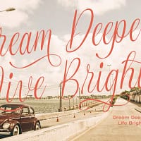 bellavenita (copy) bellavenita (copy)