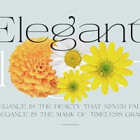 runegifter (copy) runegifter (copy)