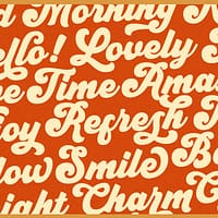 retro morely retro morely