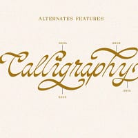 doctorline (copy) doctorline (copy)