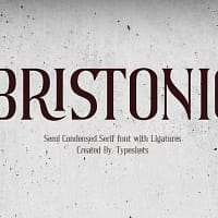 bristonic bristonic
