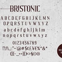 bristonic bristonic