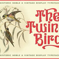 bristonic (copy) bristonic (copy)
