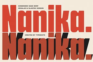 Artboard 1 NANIKA