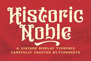 bristonic (copy) bristonic (copy)