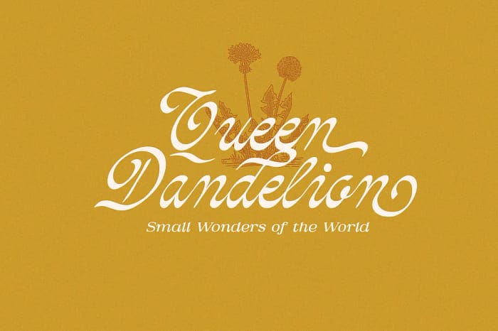 doctorline (copy) doctorline (copy)