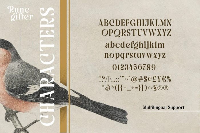 grosfer (copy) grosfer (copy)