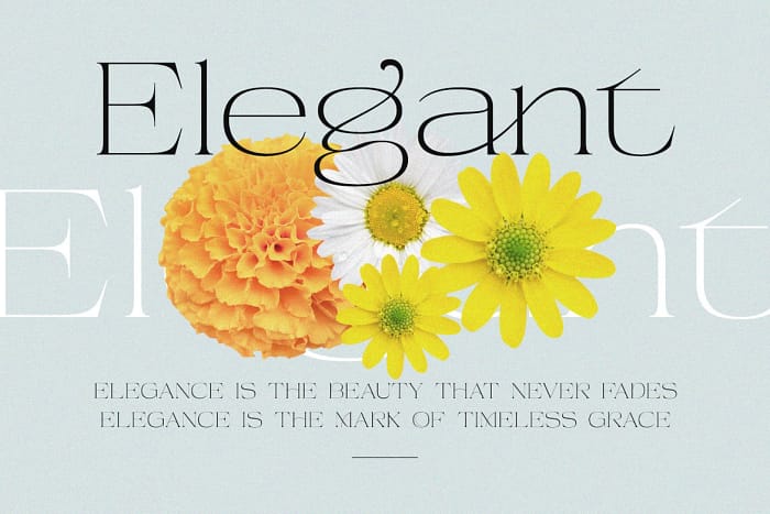 runegifter (copy) runegifter (copy)